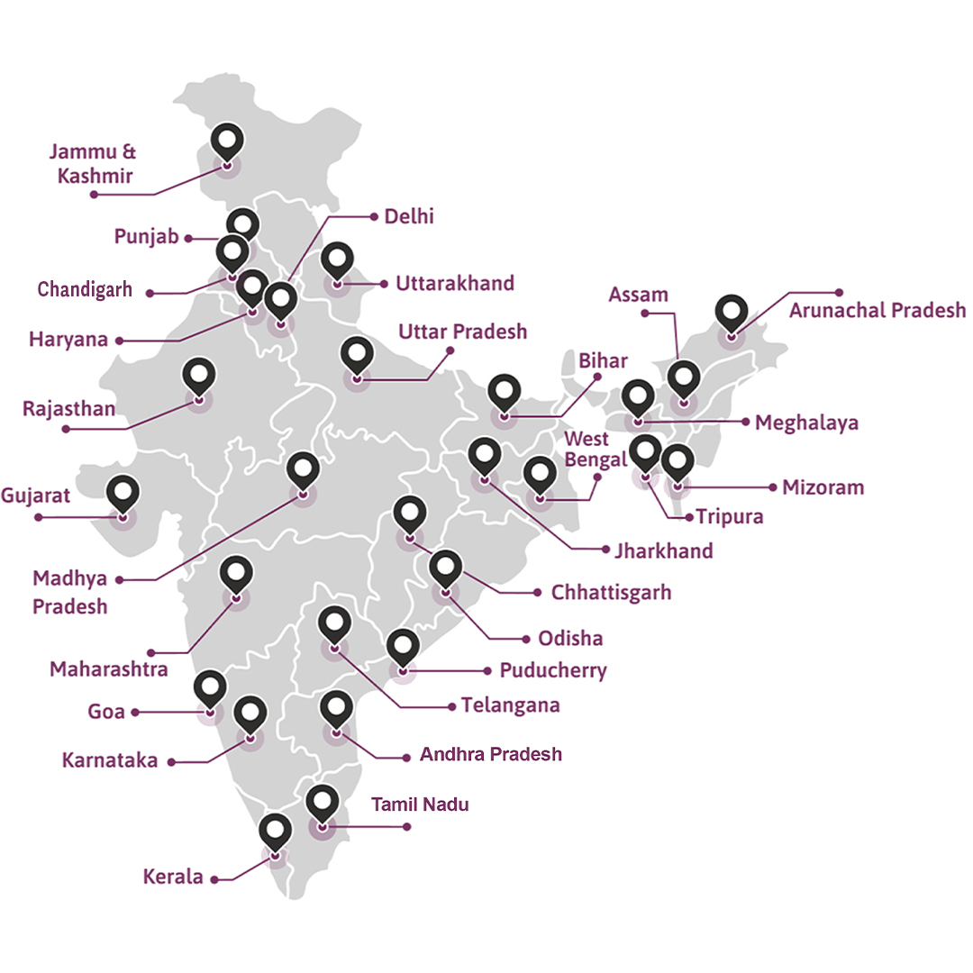 Domestic Network